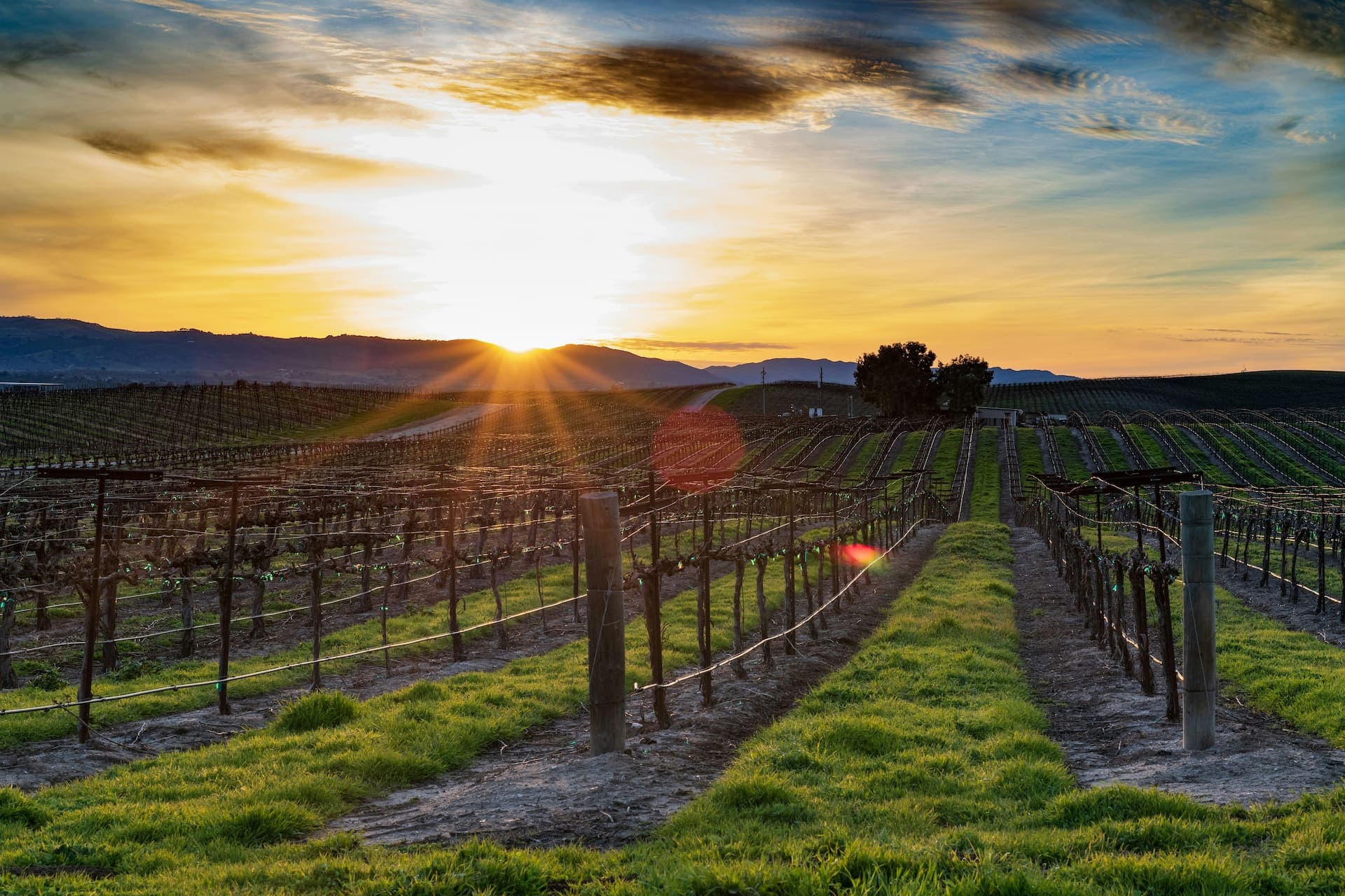 Brentwood, California — master-planned East County community scene